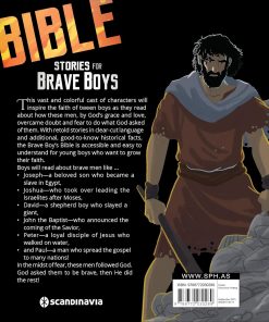 Alternative view of BIBLE STORIES FOR BRAVE BOYS