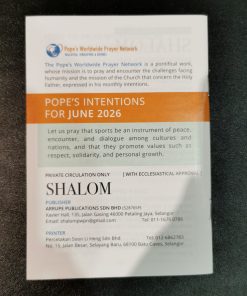 Alternative view of NETT per COPY - SHALOM 2026 JUN